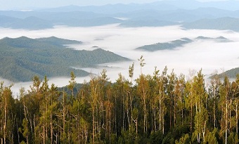 Mo'erdaoga National Forest Park