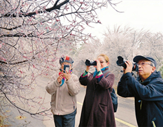 Taiyuan greenery coated in frost 