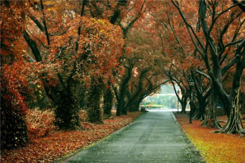 South China Botanical Garden CAS.png