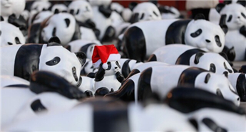 It's raining pandas in Changchun!