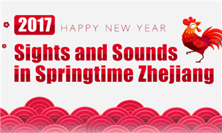 Spring Festival 2017 in Zhejiang