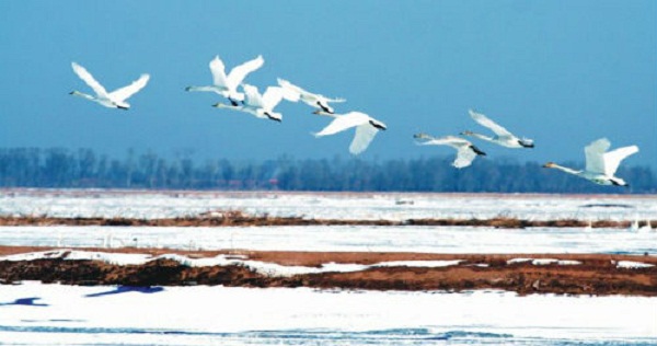 Swan Lake National Tourist Attraction.jpg