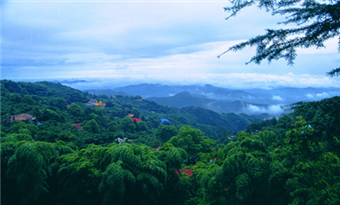 Mogan Mountain Scenic Area