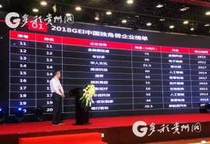 Guizhou unicorn company ranks top 14 in China