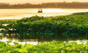 Liaozhong Puhe National Wetland Park