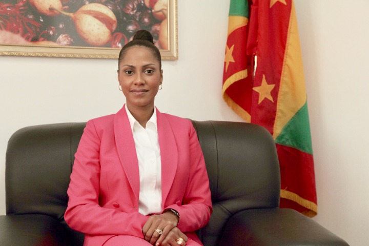 BRI offers new opportunities, Grenada's ambassador says