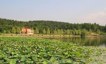 Muqing Valley Scenic Spot