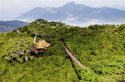 Yalong Bay Tropical Paradise Forest Park