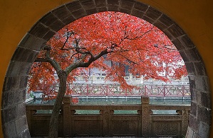 Provisions of the Awarding the Title of the Honorary Citizenship for Foreigners in Suzhou