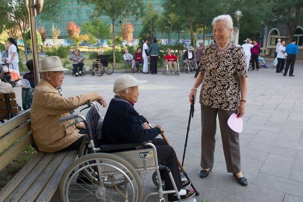 养老基金中央调剂制度 (yǎnglǎo jījīn zhōngyāng tiáojì zhìdù): Pension fund central adjustment system