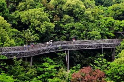 国家森林城市 (guójiā sēnlín chéngshì): National forest city