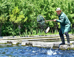 Aquaculture raises incomes for Shanxi farmers