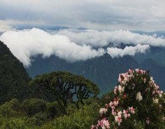 Laibin: a tourist heaven in Guangxi