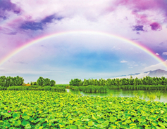 Guangling wetland a tourist destination for crowds