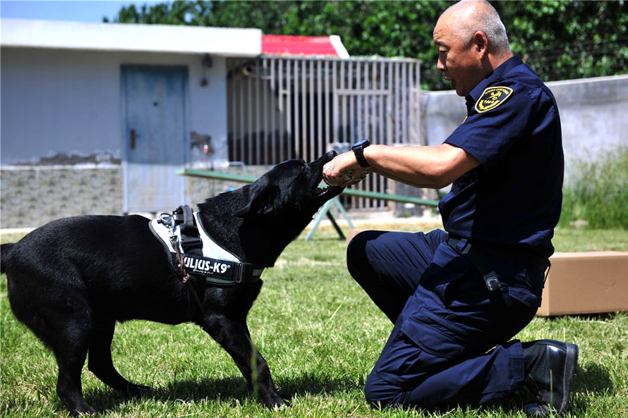 Sniffer dog a boon for drug busts at Qingdao airport