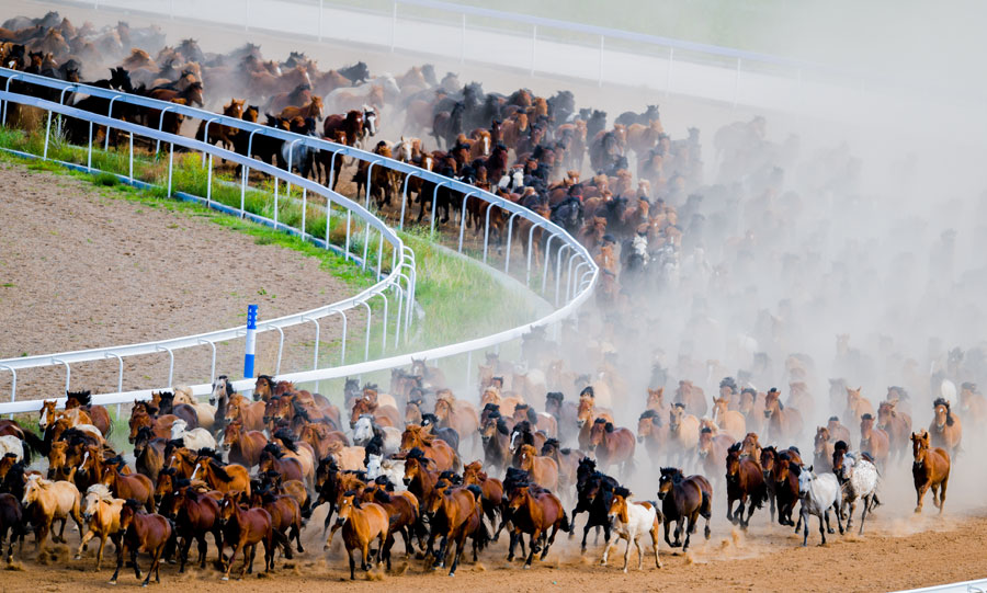 Video: Inner Mongolia equestrian festival opens