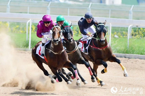 Horse riding events attract thousands in Hohhot