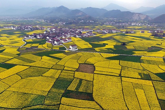 国家土地督察 (guójiā tǔdì dūchá): National land supervision