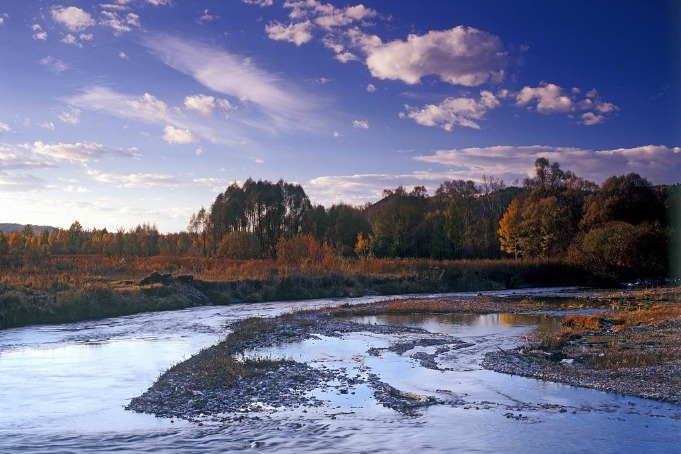 Over 10,000 protected areas established in China