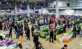 Kunming Dounan flower market