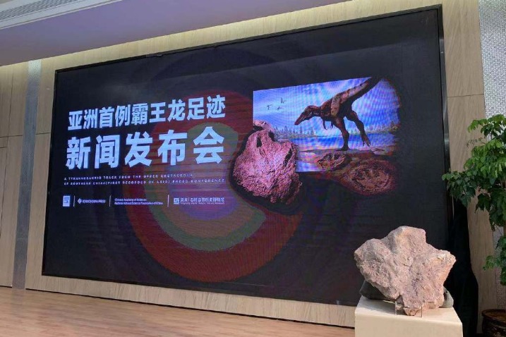 Scientists discover Tyrannosauripus in East China