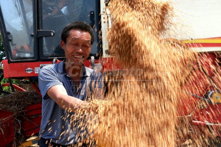 China sets up over 50,000 farmer cooperatives in H1 to reduce poverty