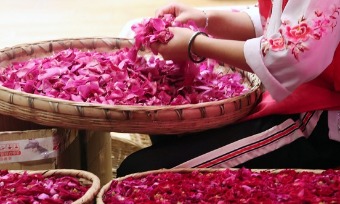 Yunnan flower cake(鲜花饼/xiān huā bǐng)