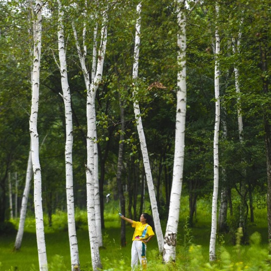 Yichun in NE China's Heilong a popular summer getaway