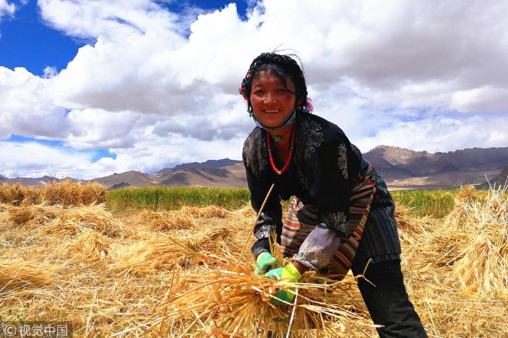 Income growth rate of Tibet's rural residents remains No 1 in China