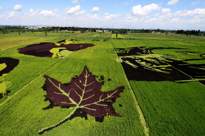 Tanbo art adds artistic variety to Xinjiang landscape