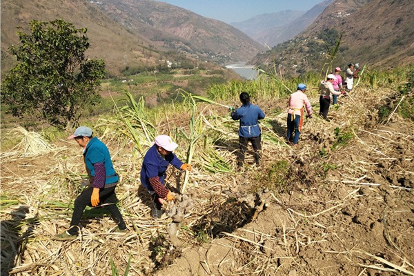 China revises law to clarify land property rights, streamline administration