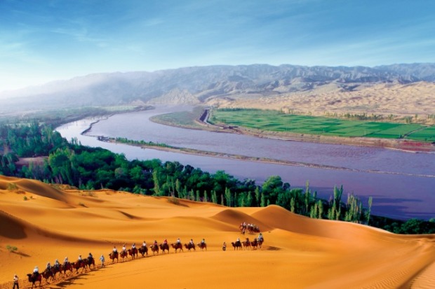 Ningxia Zhongwei wins battle against desertification