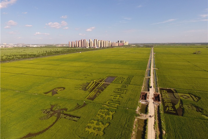 Farmers celebrate harvest and 70 year anniversary