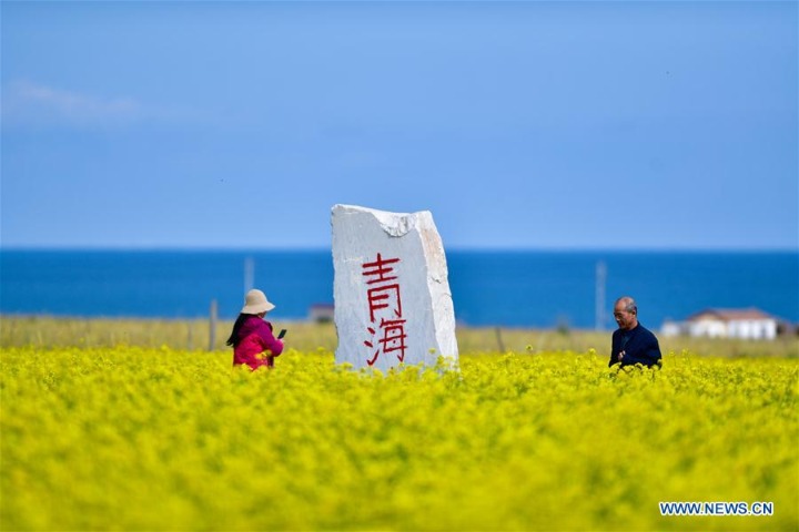 Tourists enjoy scenery along Qinghai Lake during Mid-Autumn Festival holiday