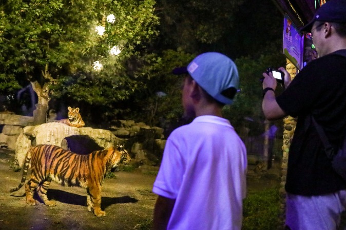 Shanghai zoo opens for nighttime visitors