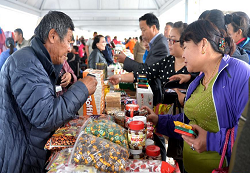 Border trade regulations issued in Inner Mongolia