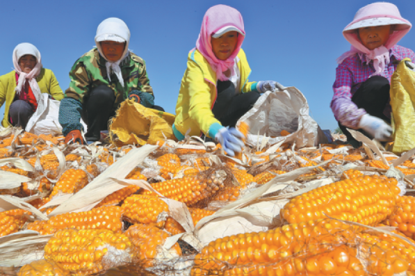 China to further open up agricultural markets