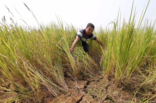 Waters at record lows as drought lingers in Jiangxi