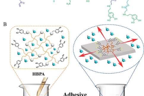 Breakthrough underwater adhesive developed by Tianjin team