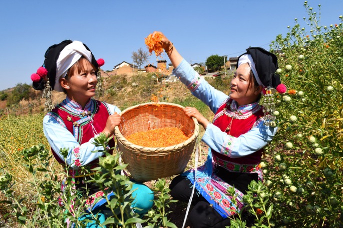 Xi stresses role of traditional Chinese medicine for 'Healthy China'