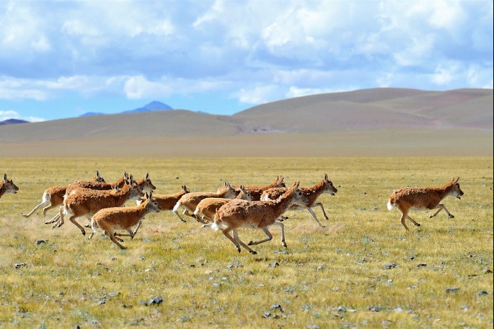 China builds vertical climate observation system in Tibet