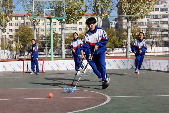 Hebei rolls out regulations on school incidents