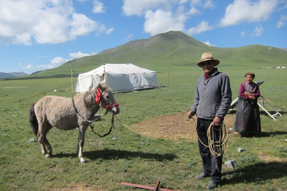 Qinghai winning fight against major disease