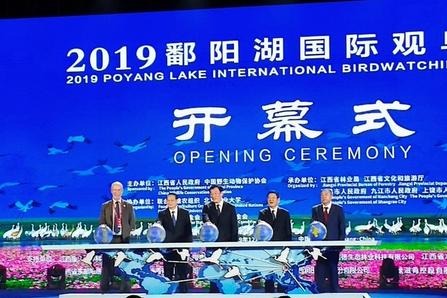 Int'l birdwatching week kicks off at China's largest freshwater lake