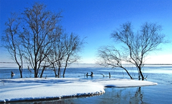 Nanhai Wetland Scenic Area