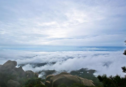 Tianzhu Mountain, Anqing