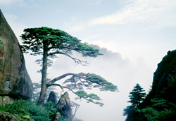 Huangshan Mountain, Anhui