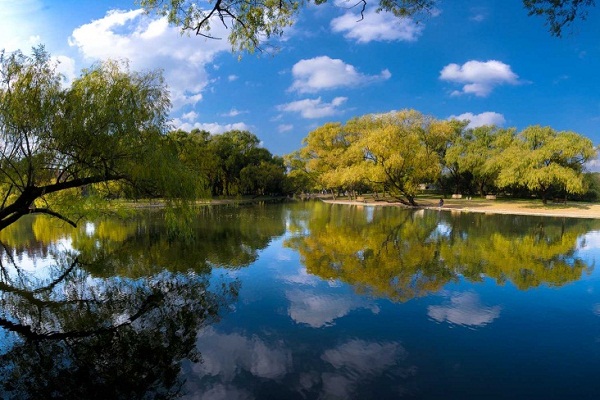 10-Shanghai Gongqing National Forest Park.jpg