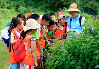 Beat the heat: some best parks in Shanghai to go to in Aug