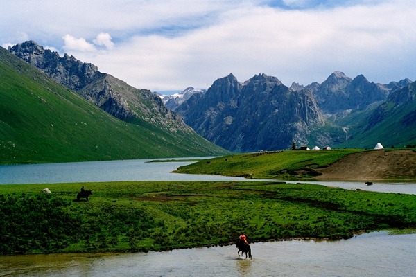 Qinghai injects 74m yuan into wetland protection, restoration in 2019